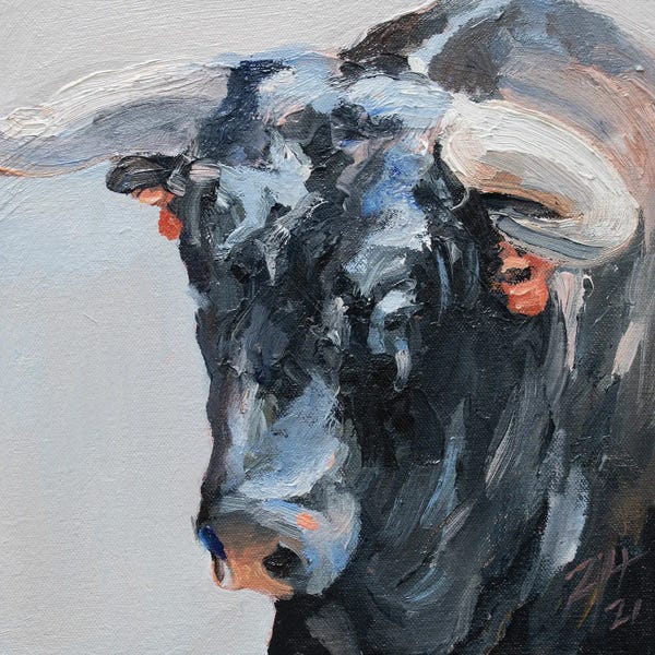 Bulls: Cuernos Negros XV by Zil Hoque