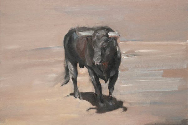 Bulls: Full Shadow by Zil Hoque