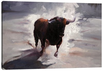 Twilight Canvas Art Print - Bull Art