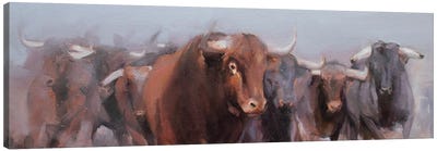 Granadero Canvas Art Print - Bull Art
