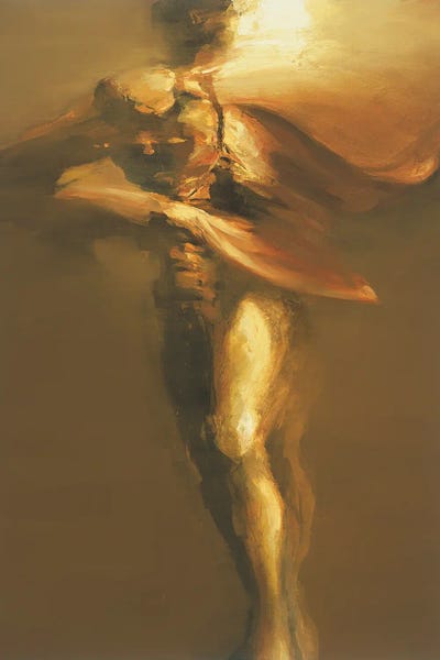 Flamenco: Viento Y Luz by Zil Hoque