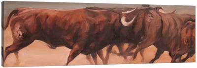 Toros De Dehesa Frias Canvas Art Print - Bull Art