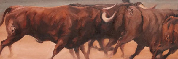 Bulls: Toros De Dehesa Frias by Zil Hoque