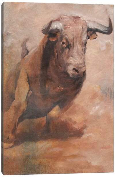 Light And Dust I Canvas Art Print - Bull Art