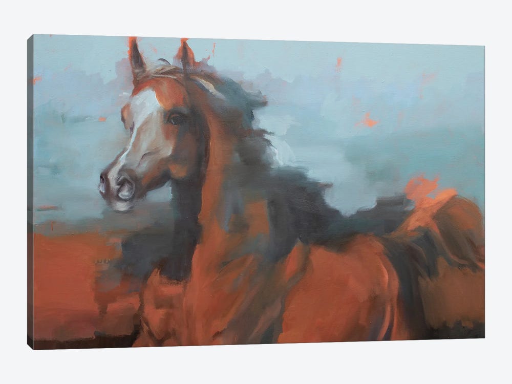 Equus Arabicus II by Zil Hoque 1-piece Canvas Wall Art