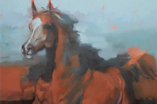 Zil Hoque: Equus Arabicus II by Zil Hoque
