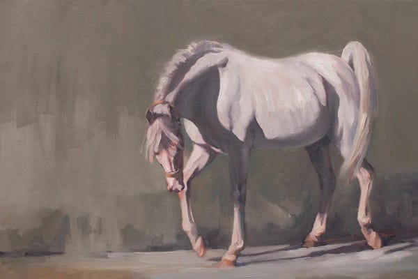 Zil Hoque: Arabian White Light by Zil Hoque