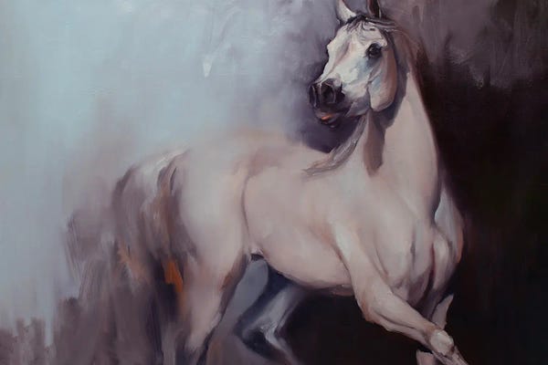 Zil Hoque: Equus Arabicus by Zil Hoque