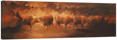 Wild Bunch  Canvas Art Print - Bull Art