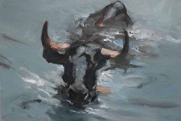 Bulls: Hot Day by Zil Hoque