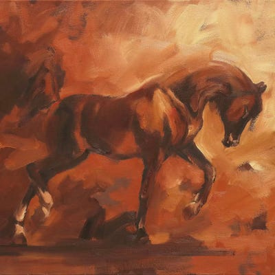 Arab I by Zil Hoque canvas print