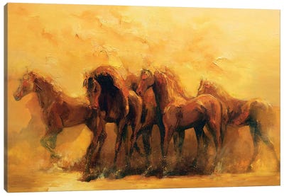 Andalucia  Canvas Art Print - Home on the Range