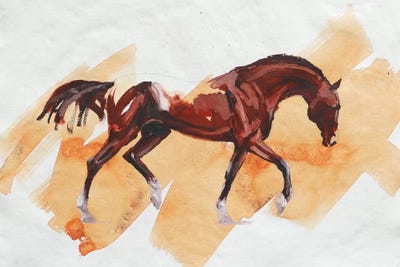 Arabian II by Zil Hoque canvas print