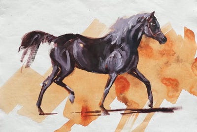 Arabian I by Zil Hoque canvas print