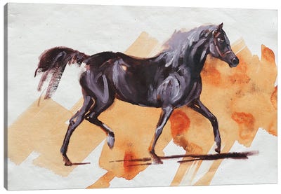 Arabian I Canvas Art Print - Zil Hoque