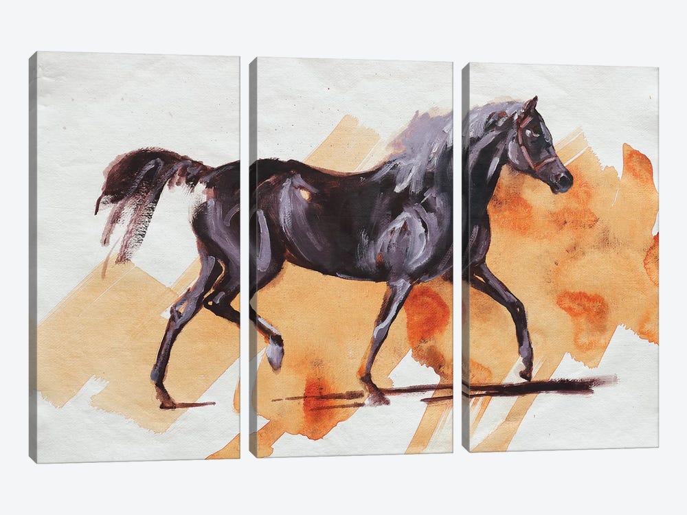 Arabian I by Zil Hoque 3-piece Canvas Print