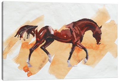 Arabian II Canvas Art Print - Zil Hoque