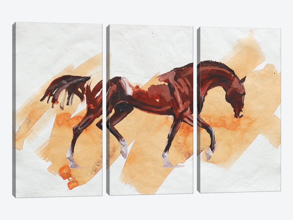 Arabian II by Zil Hoque 3-piece Art Print