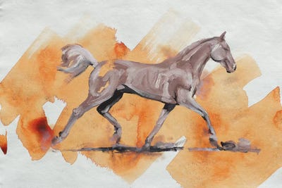 Arabian III by Zil Hoque canvas print