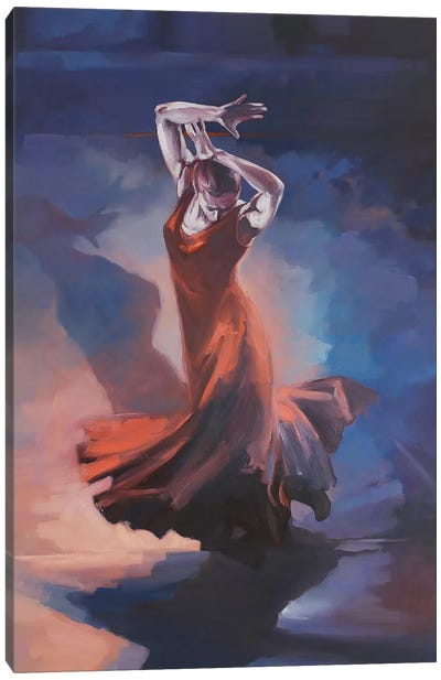 Evolution IV   Canvas Art Print - Flamenco