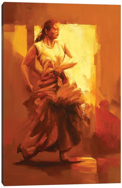 Evolution VI   Canvas Art Print - Flamenco Art
