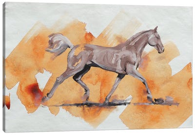 Arabian III Canvas Art Print - Zil Hoque