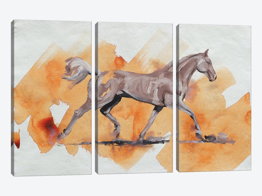 Arabian III by Zil Hoque 3-piece Canvas Wall Art