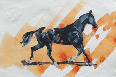 Arabian IV by Zil Hoque canvas print