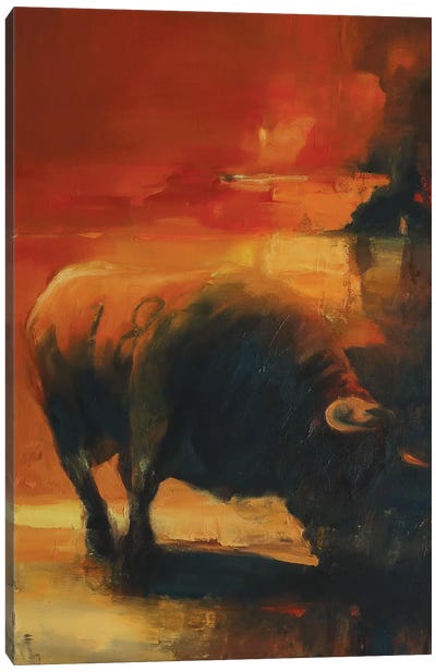 Just 18 Canvas Art Print - Bull Art