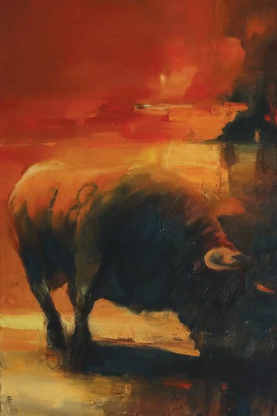 Bulls: Just 18 by Zil Hoque
