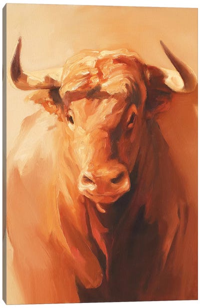 Light Andalucia  Canvas Art Print - Bull Art