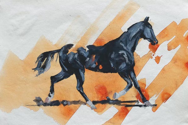 Zil Hoque: Arabian IV by Zil Hoque