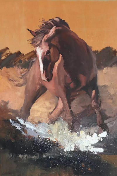 Zil Hoque: Splash  by Zil Hoque