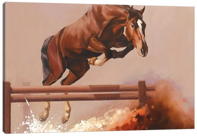 Splash I  Canvas Art Print - Equestrian Art