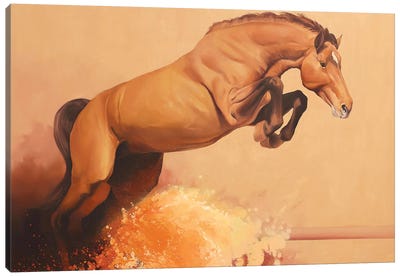 Splash II  Canvas Art Print - Equestrian Art