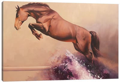 Splash III   Canvas Art Print - Equestrian Art