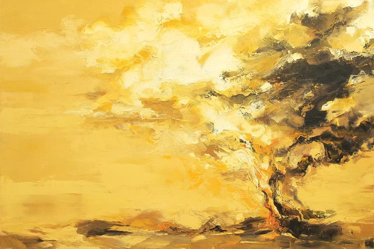 Tierra Aire Nimbostratus II   by Zil Hoque wall art