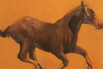 Velocidad II  by Zil Hoque canvas print