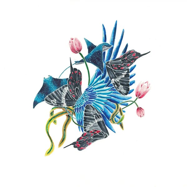 Rays: A Simple Complication I by Bobbziee