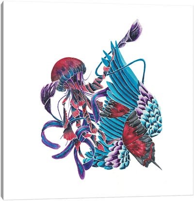 A Simple Complication III Canvas Art Print - Jellyfish Art
