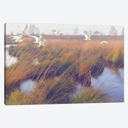 MarshlandHues,Two Canvas Print #ZIK100} by Steve Hunziker Art Print