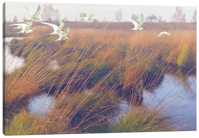 MarshlandHues,Two Canvas Art Print - Steve Hunziker
