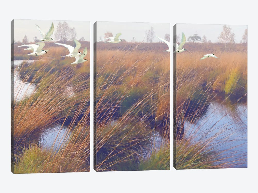 MarshlandHues,Two by Steve Hunziker 3-piece Canvas Print