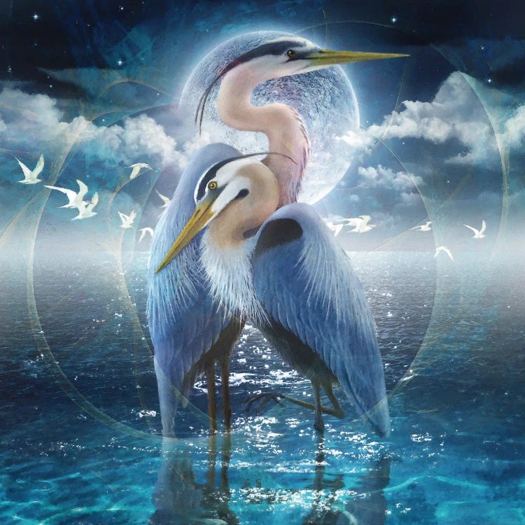 Celestial Egrets II by Steve Hunziker wall art