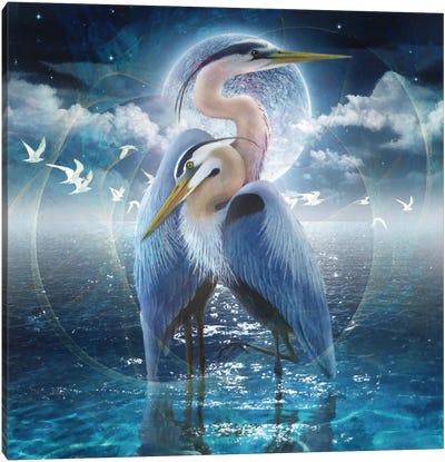 Celestial Egrets II Canvas Art Print - Steve Hunziker