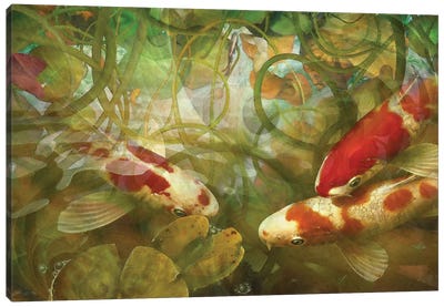 Celestial Fish II Canvas Art Print - Steve Hunziker