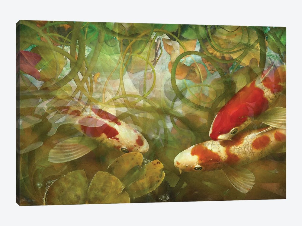 Celestial Fish II by Steve Hunziker 1-piece Canvas Art Print