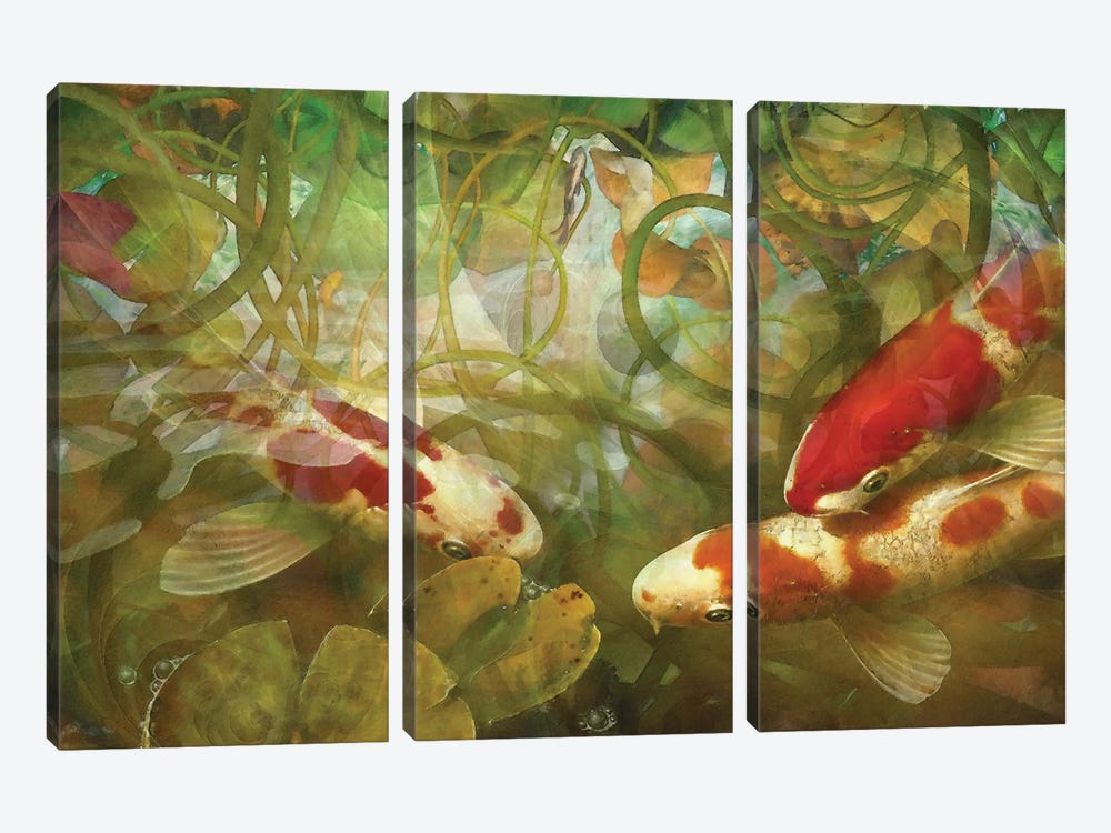 Celestial Fish II by Steve Hunziker 3-piece Canvas Art Print