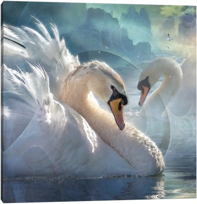 Celestial Swans I Canvas Art Print - Steve Hunziker
