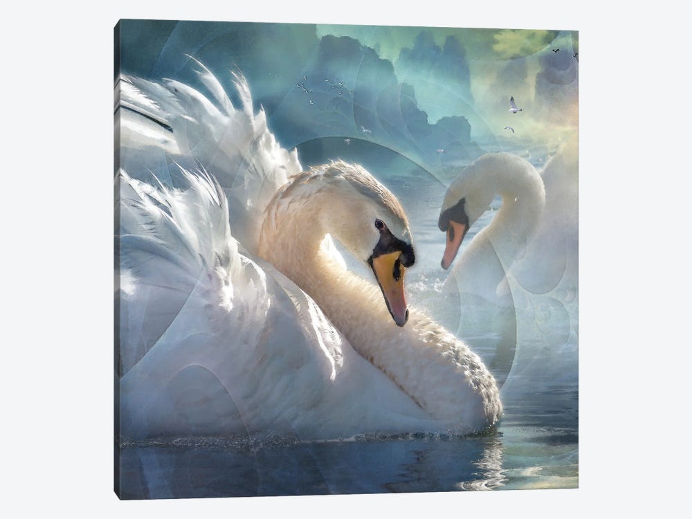 Celestial Swans I by Steve Hunziker 1-piece Canvas Artwork